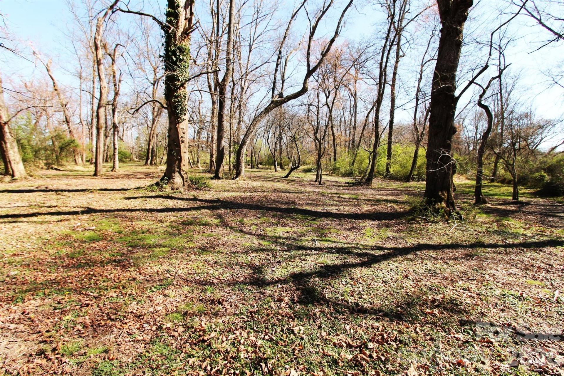 000 TBD School House Road - Photo 22