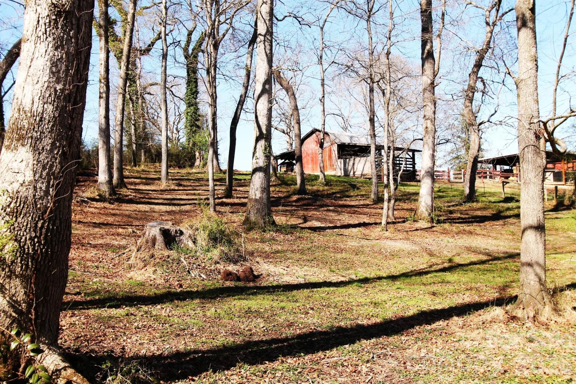 000 TBD School House Road - Photo 23