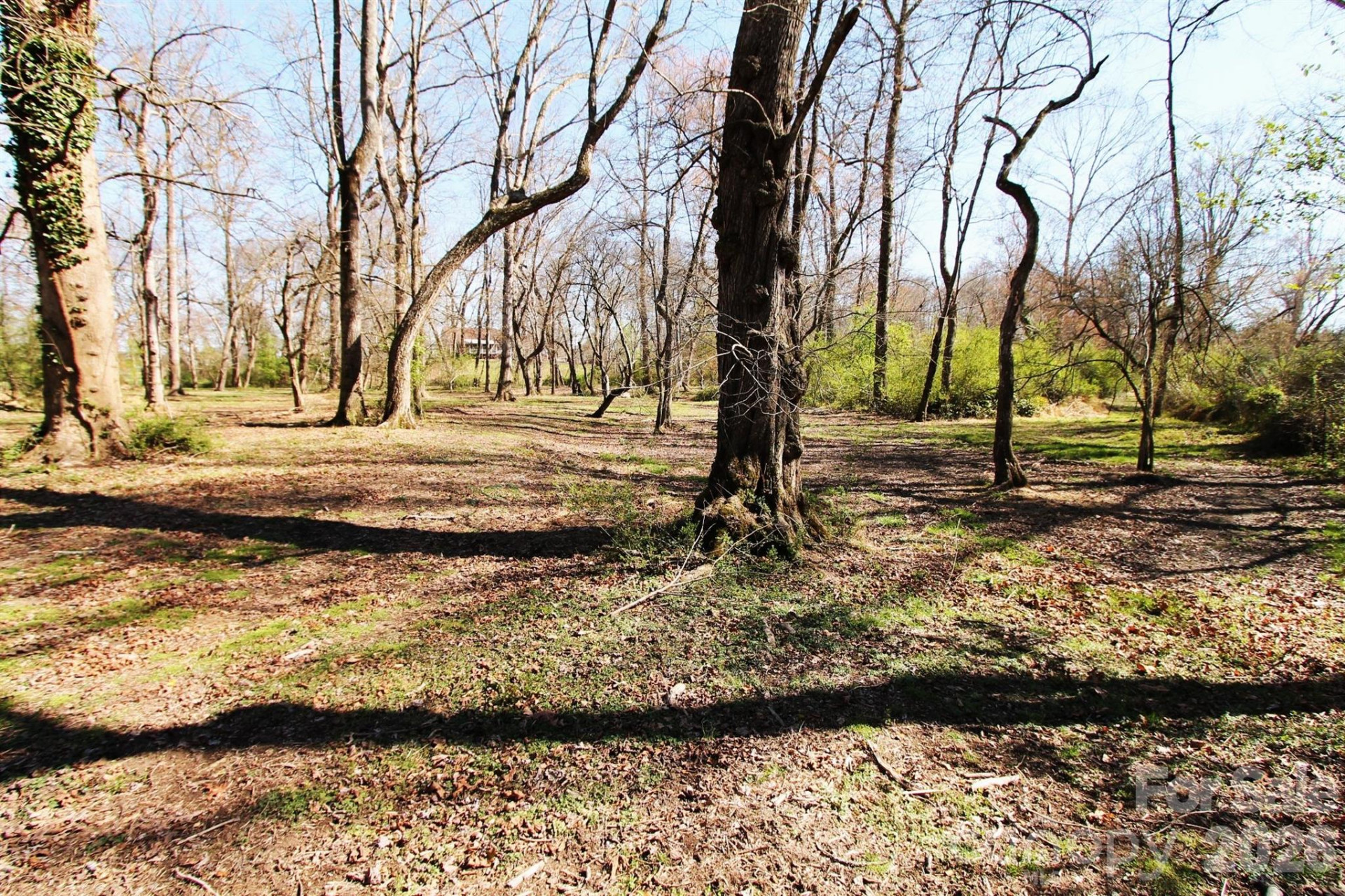 000 TBD School House Road - Photo 24