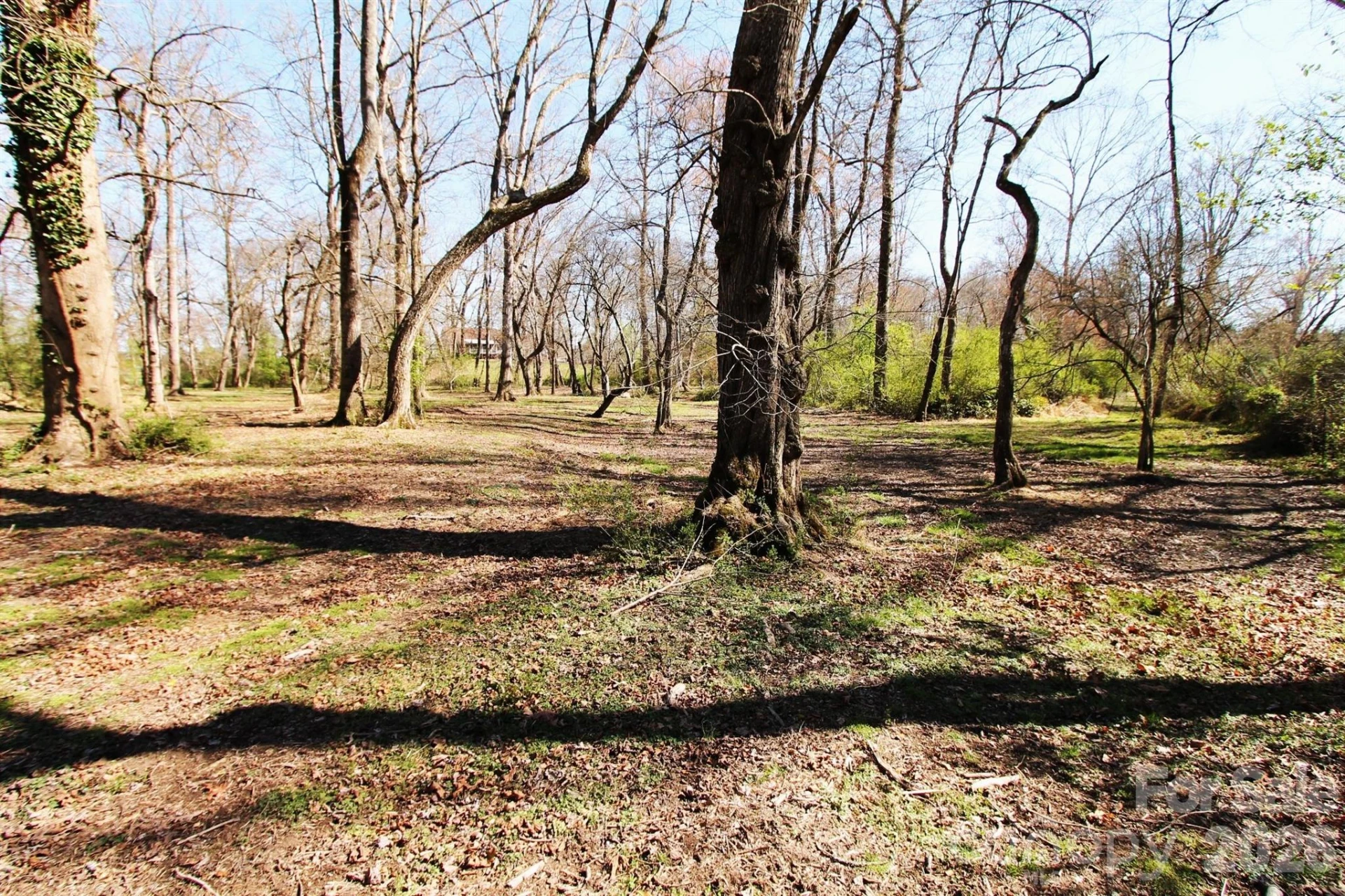 000 TBD School House Road - Photo 24