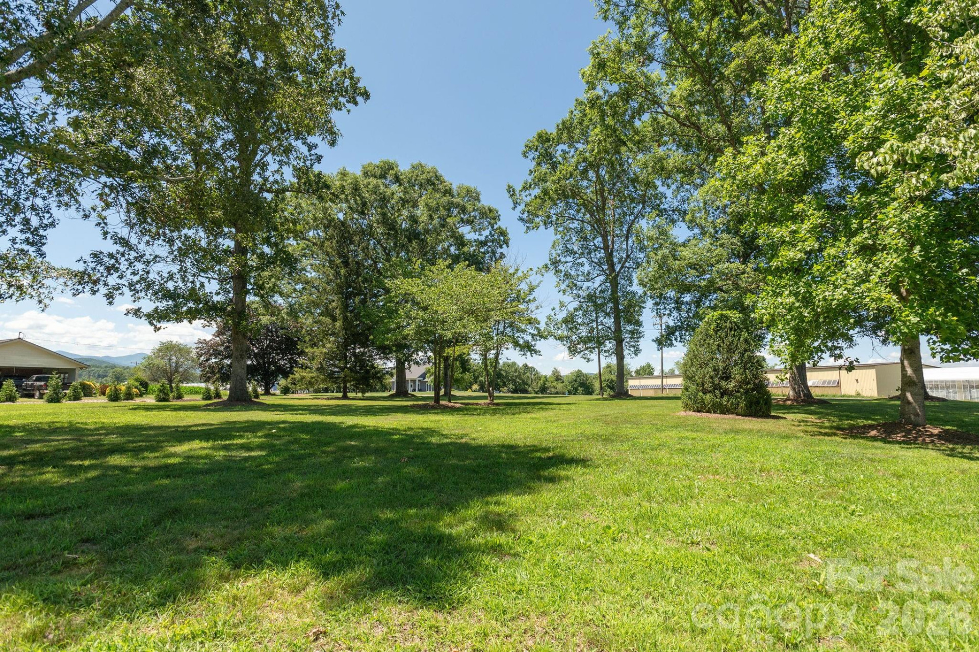 000 TBD School House Road - Photo 4