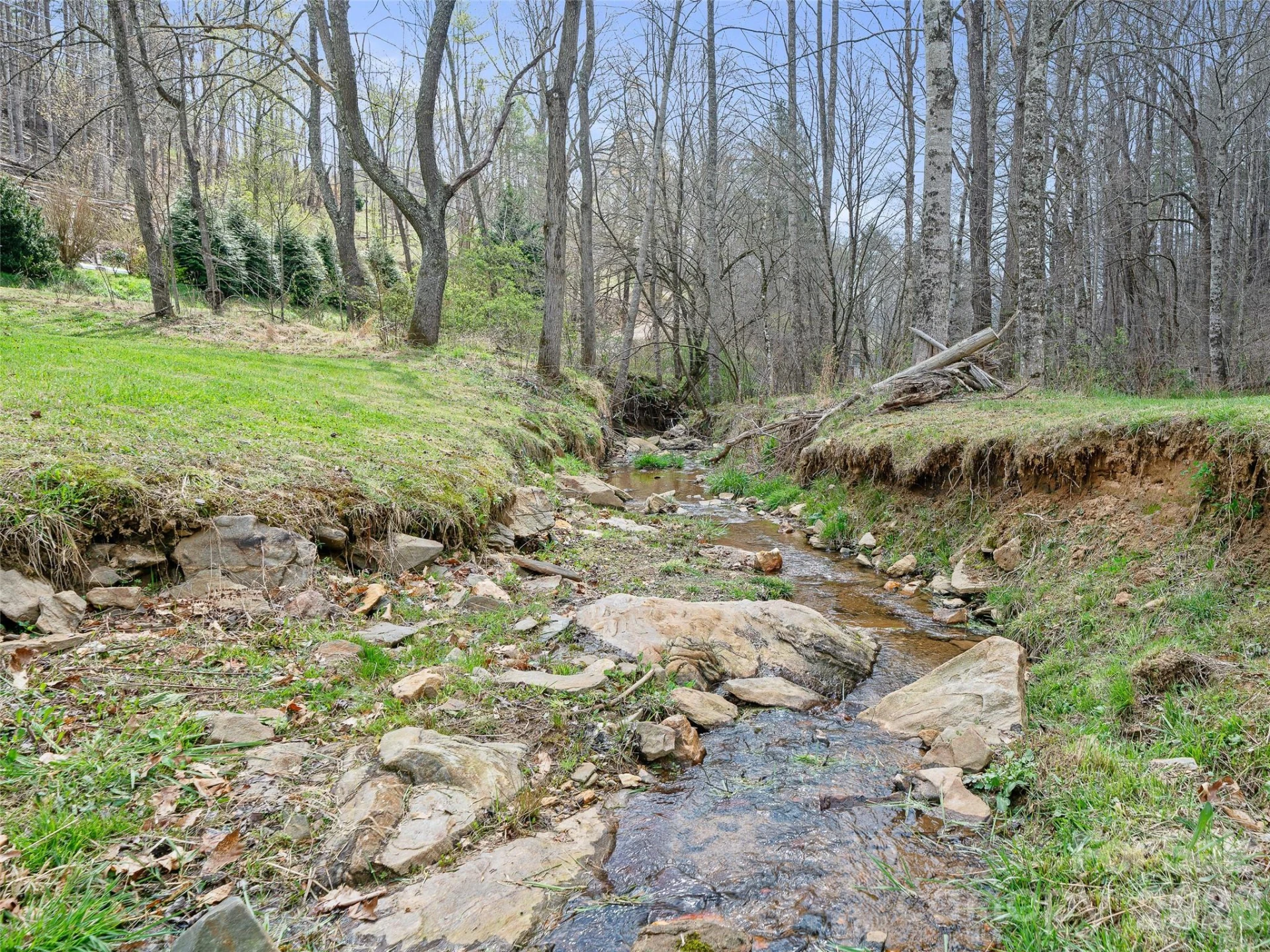 3502 Bolens Creek Road - Photo 46