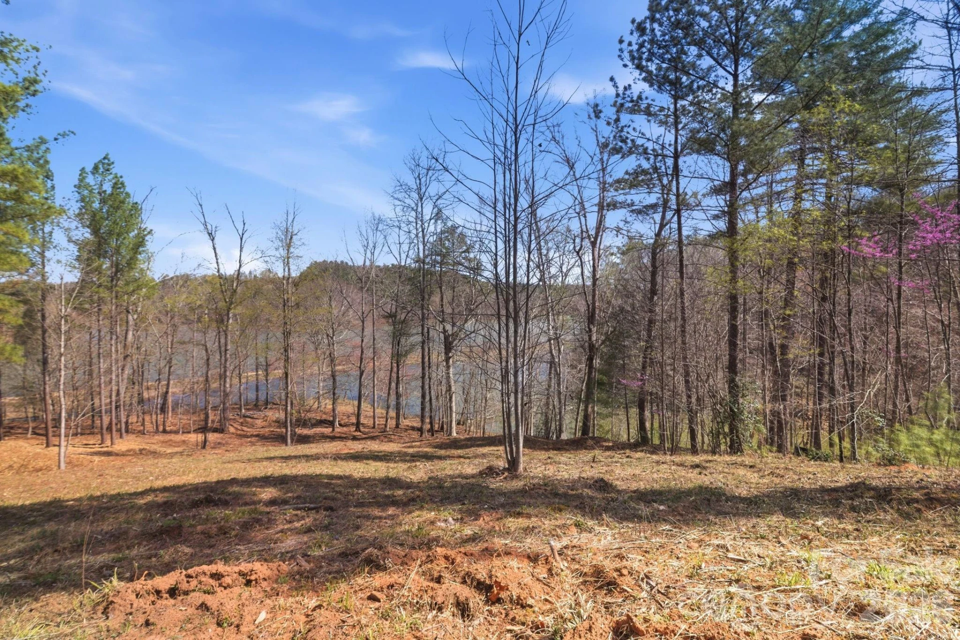 193 Table Rock Trace #129 - Photo 3