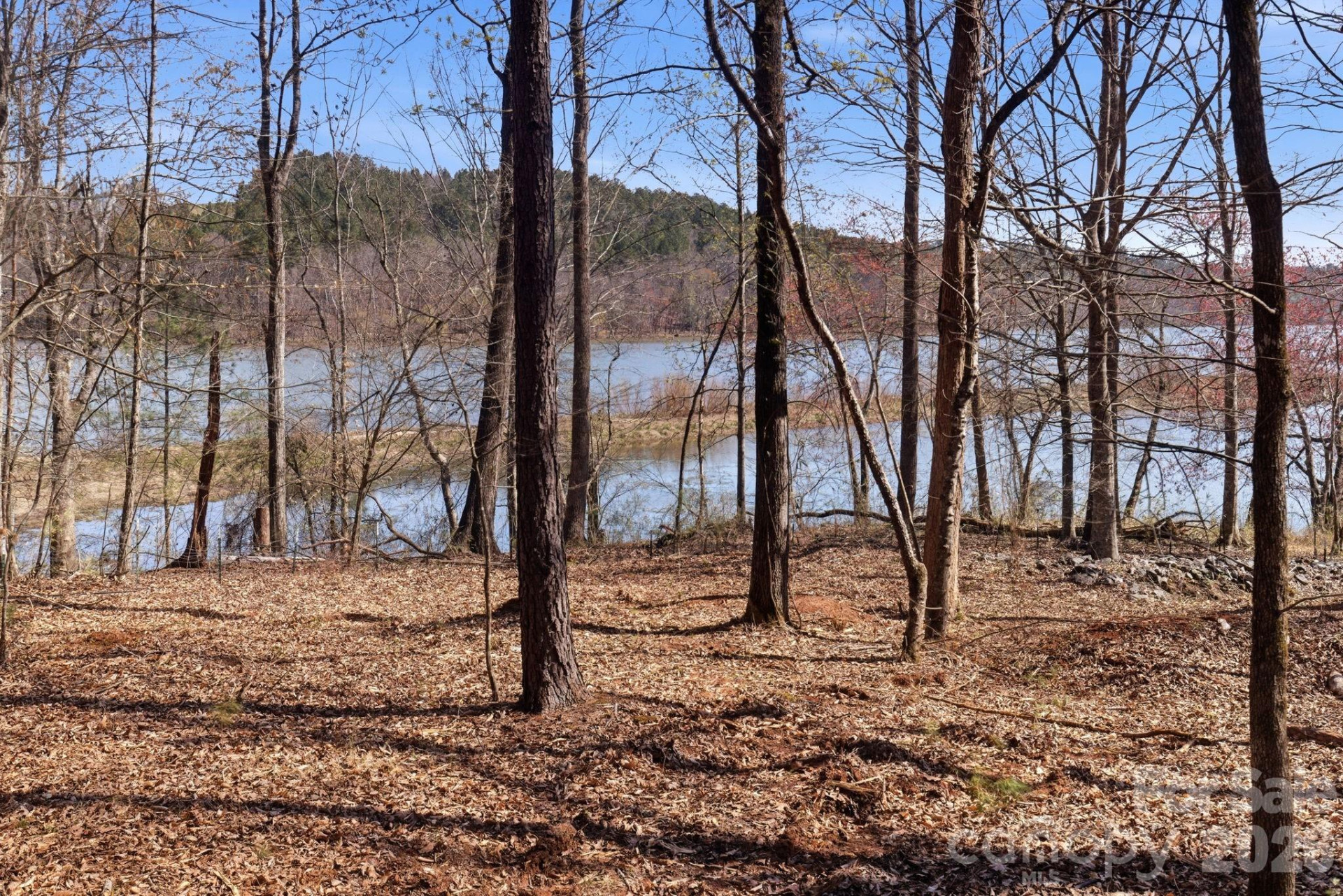 193 Table Rock Trace #129 - Photo 4