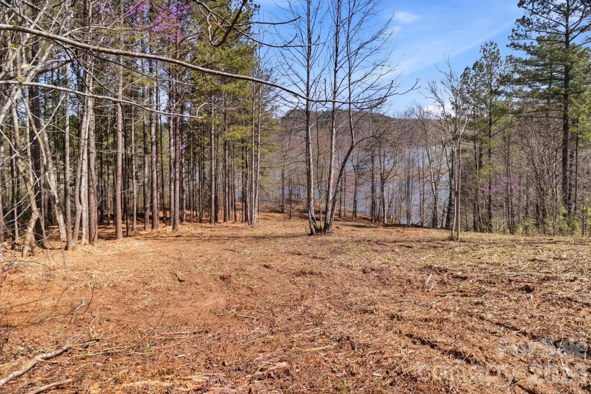 193 Table Rock Trace #129 - Photo 6