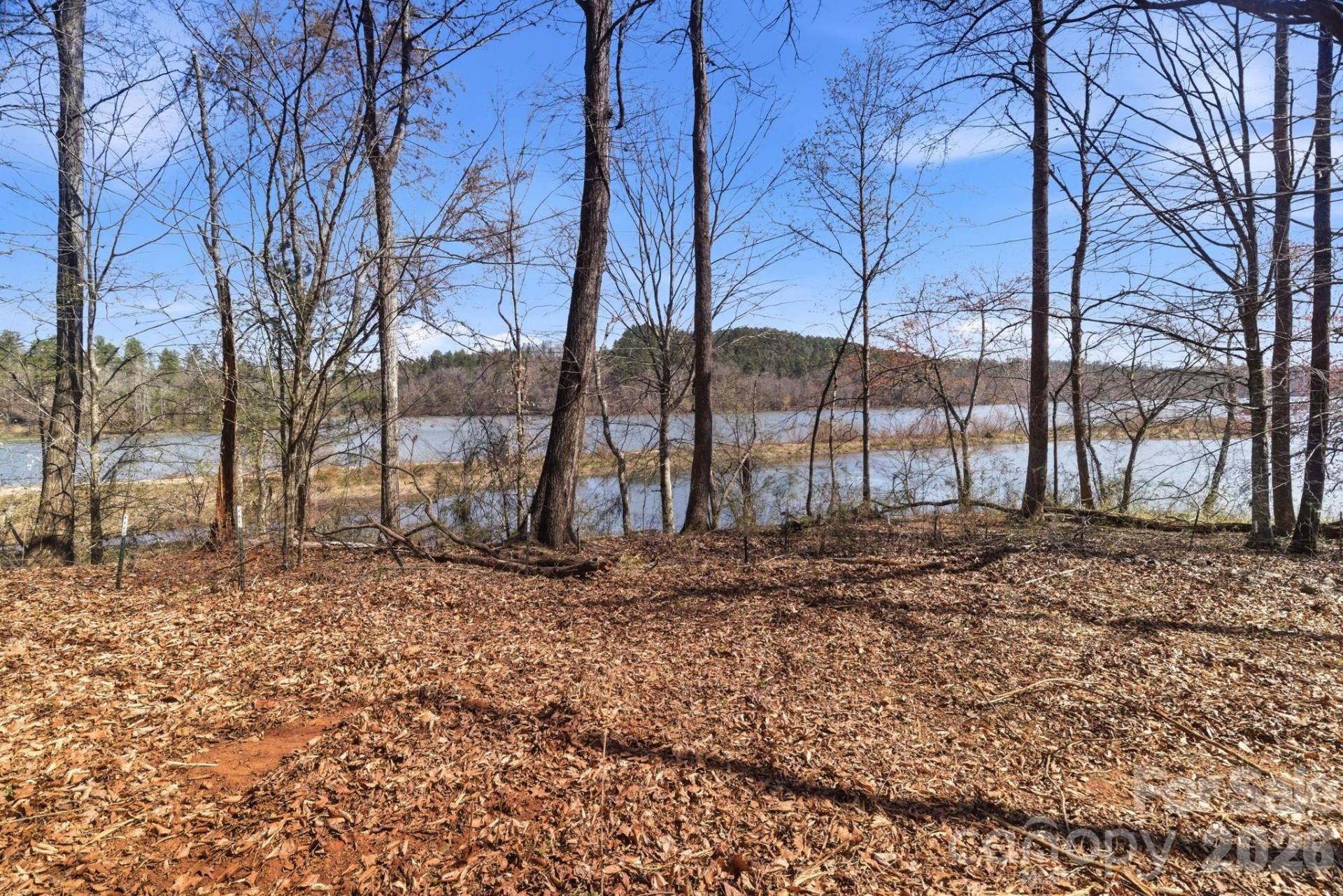 193 Table Rock Trace #129 - Photo 8