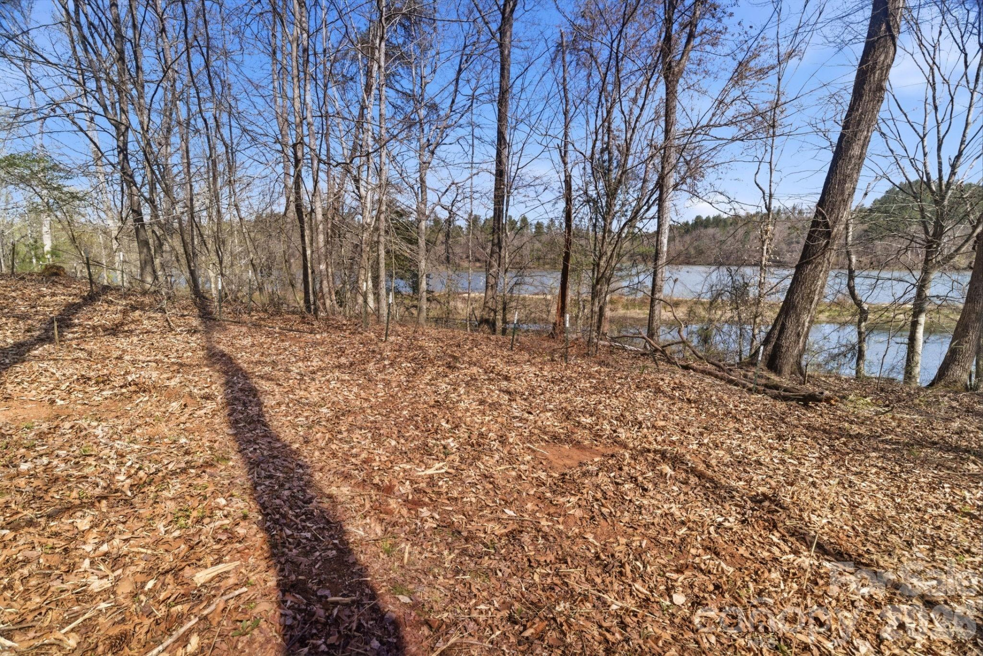 193 Table Rock Trace #129 - Photo 9