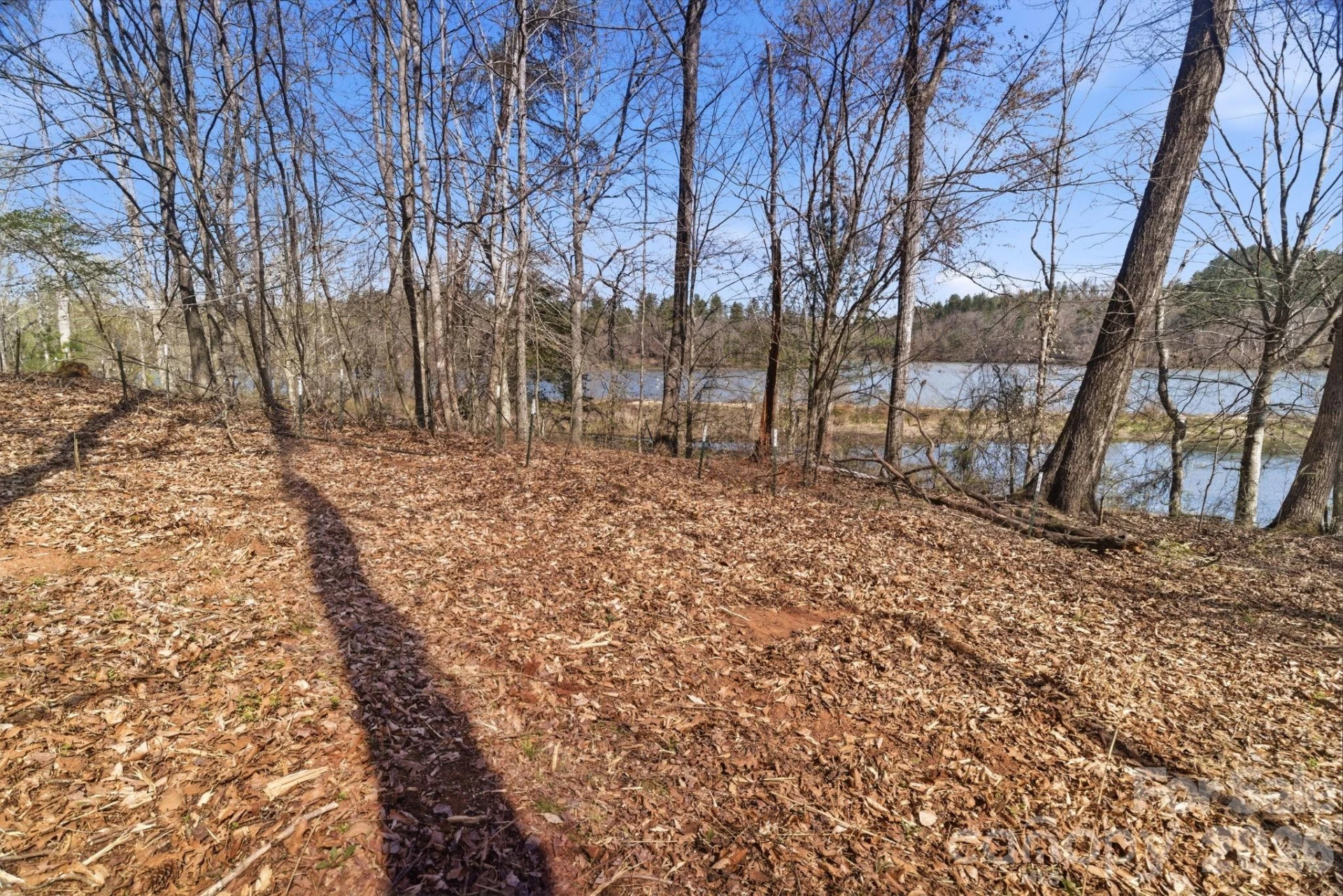 193 Table Rock Trace #129 - Photo 9
