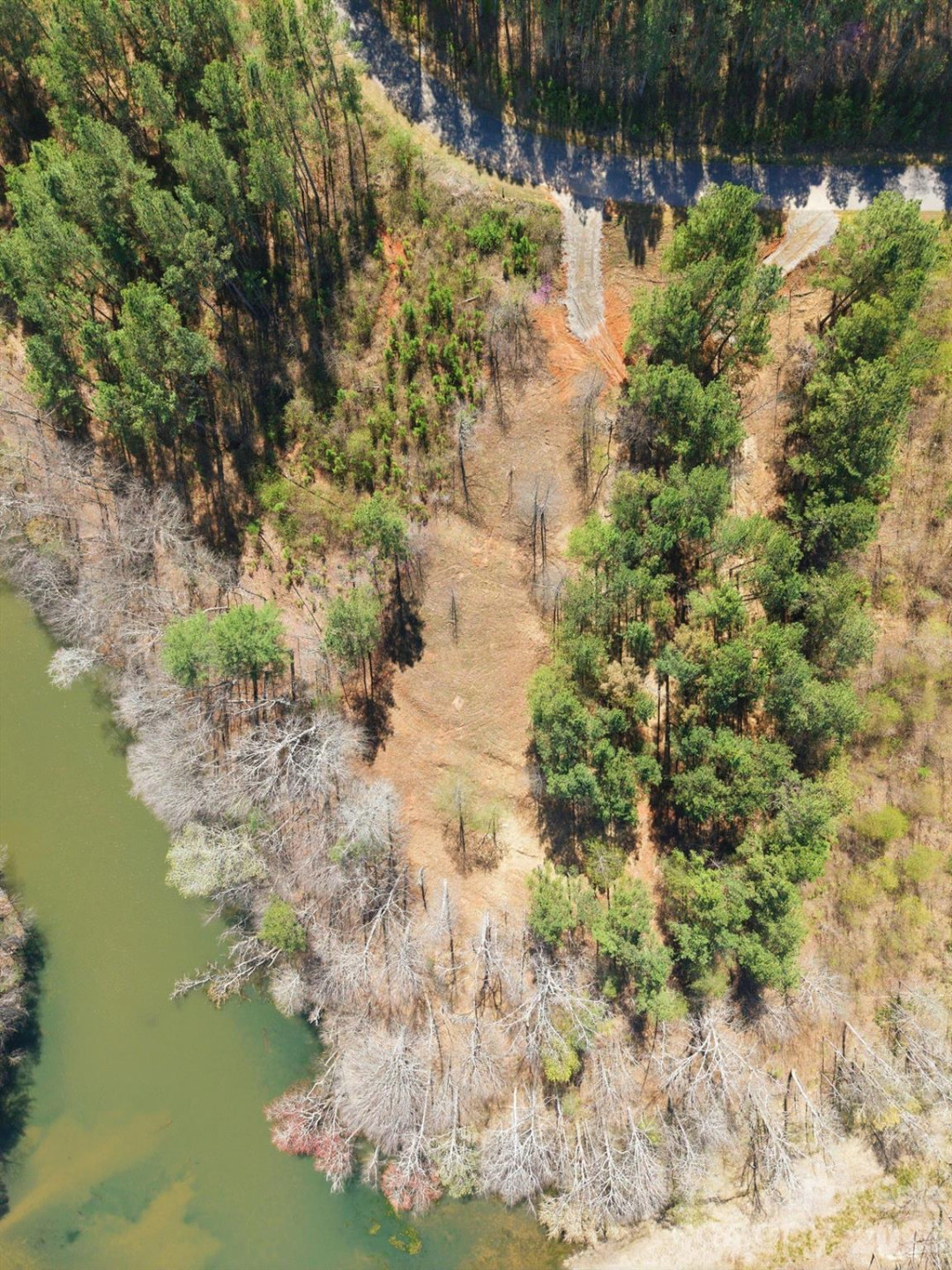 193 Table Rock Trace #129 - Photo 10