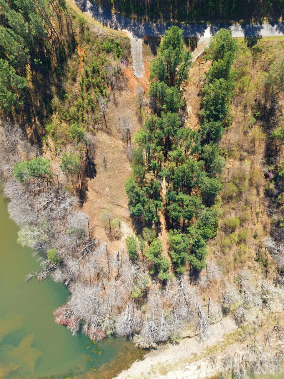 193 Table Rock Trace #129 - Photo 11