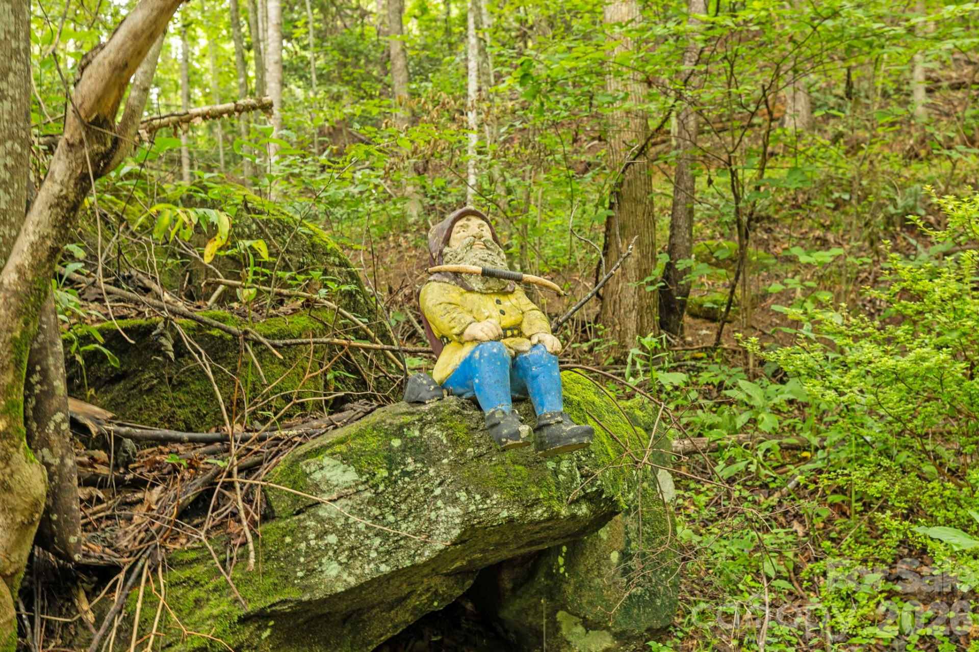 6080 US 64/74A Highway - Photo 14