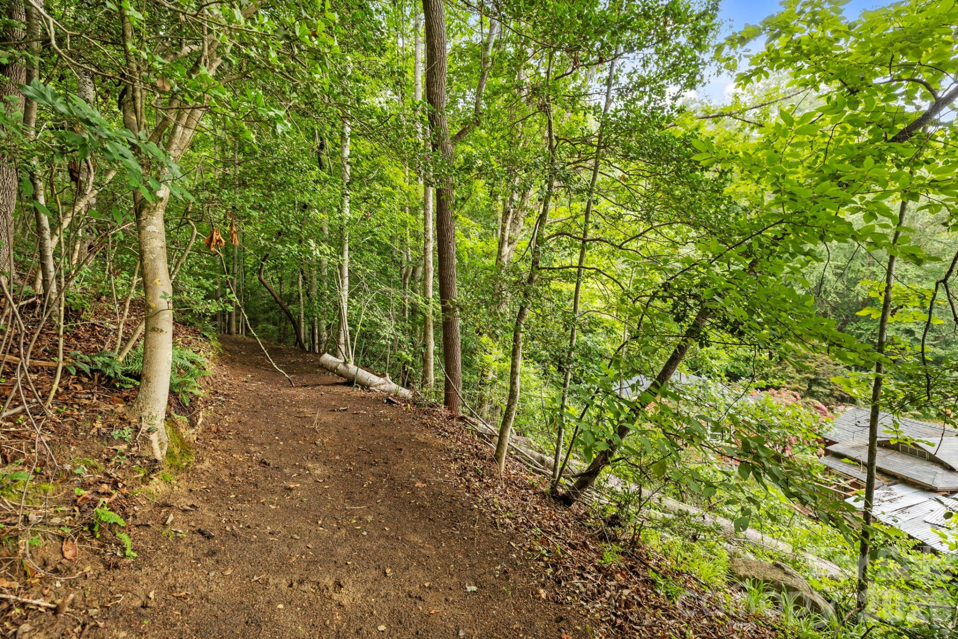 6080 US 64/74A Highway - Photo 15