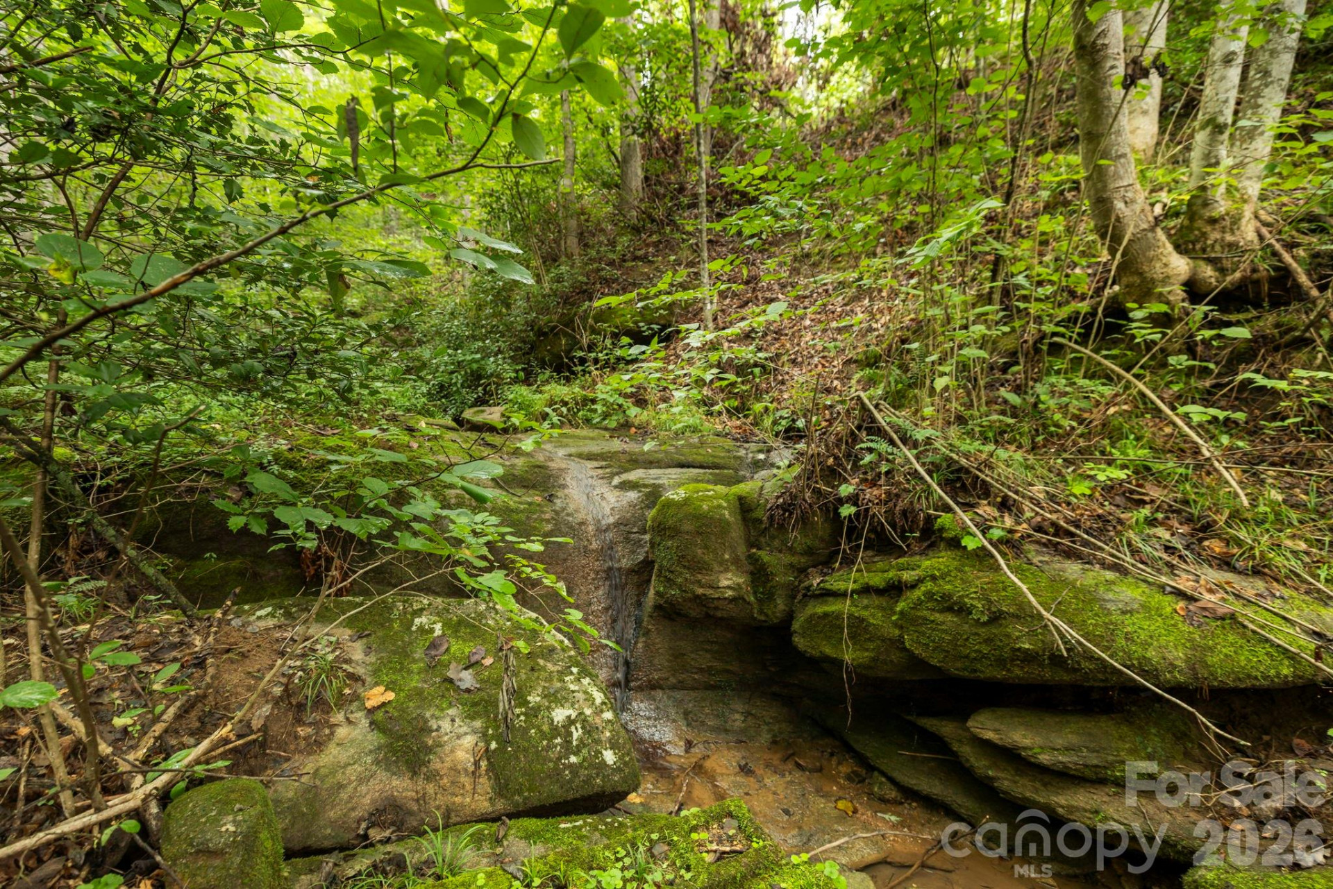 6080 US 64/74A Highway - Photo 16