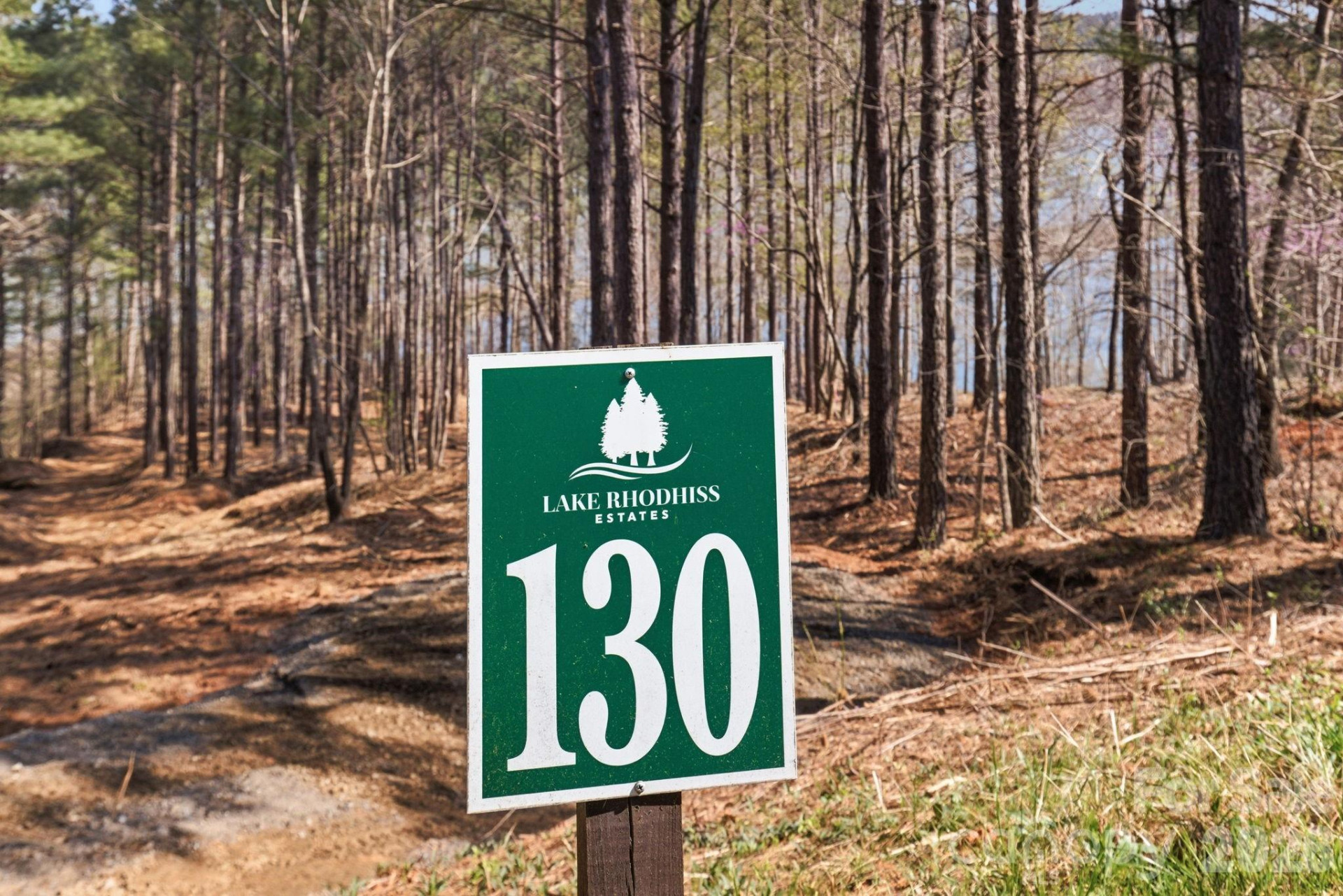 199 Table Rock Trace #130 - Photo 3