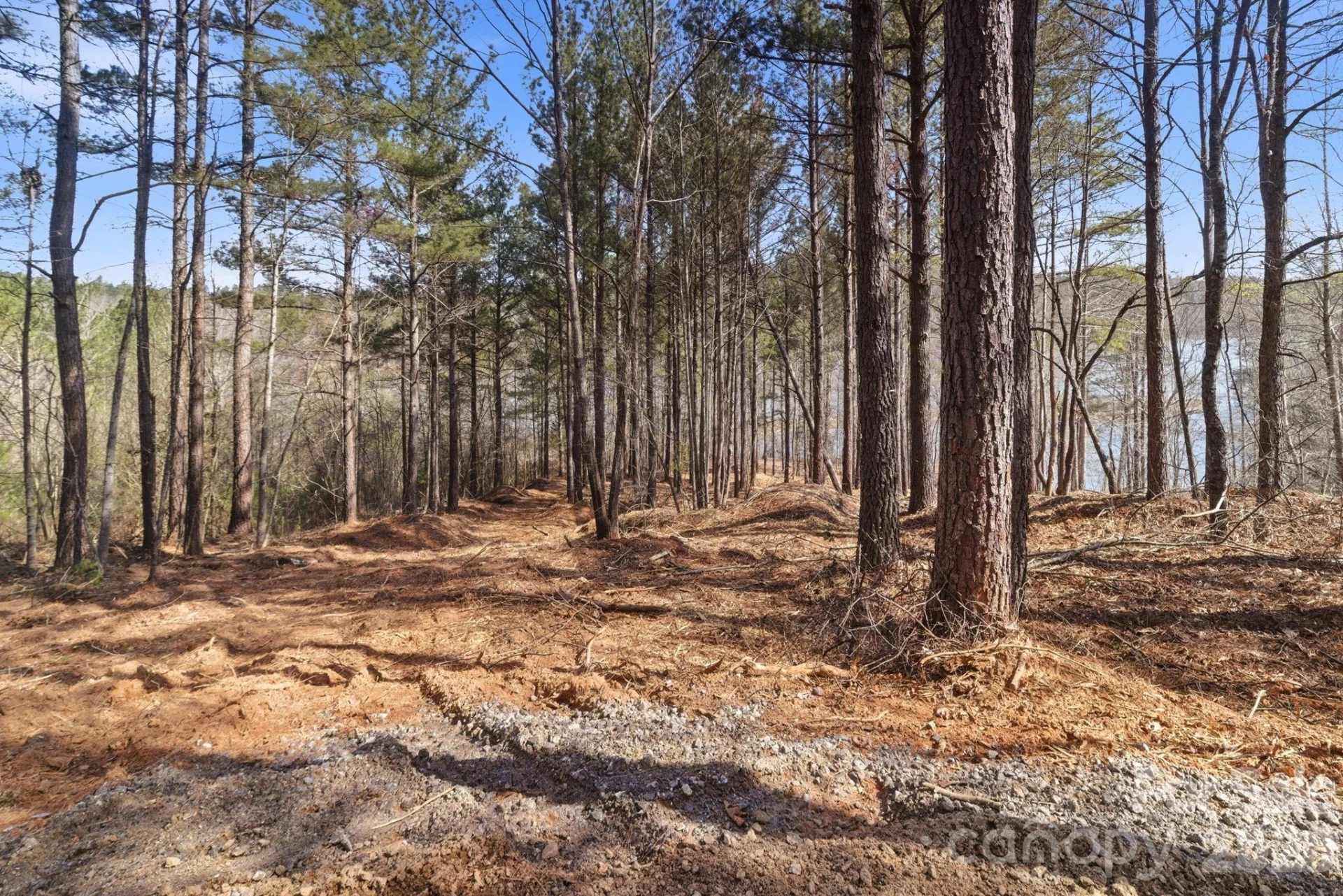 199 Table Rock Trace #130 - Photo 4
