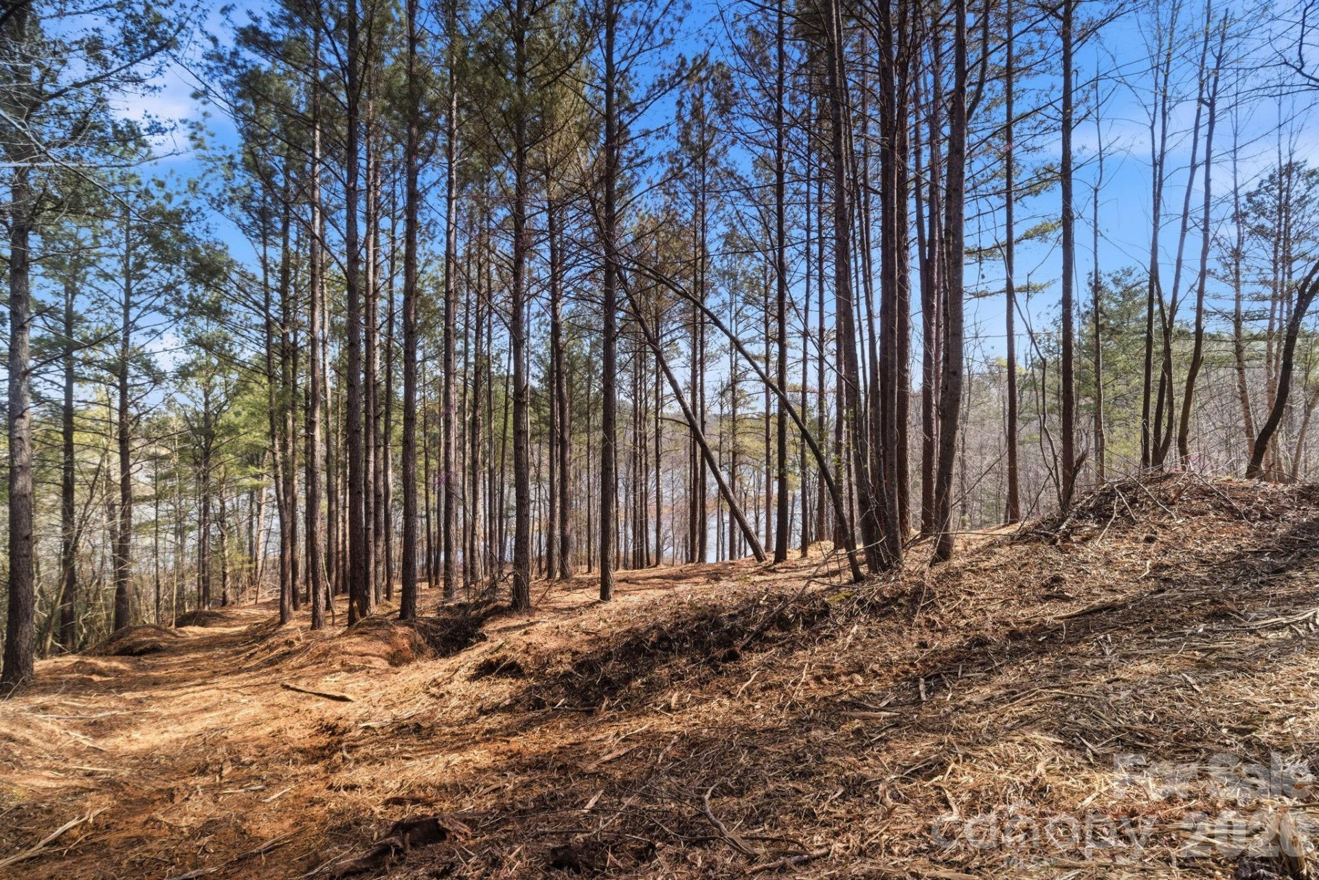 199 Table Rock Trace #130 - Photo 5