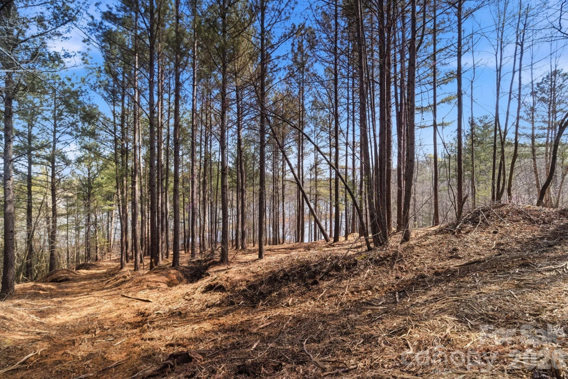 199 Table Rock Trace #130 - Photo 5