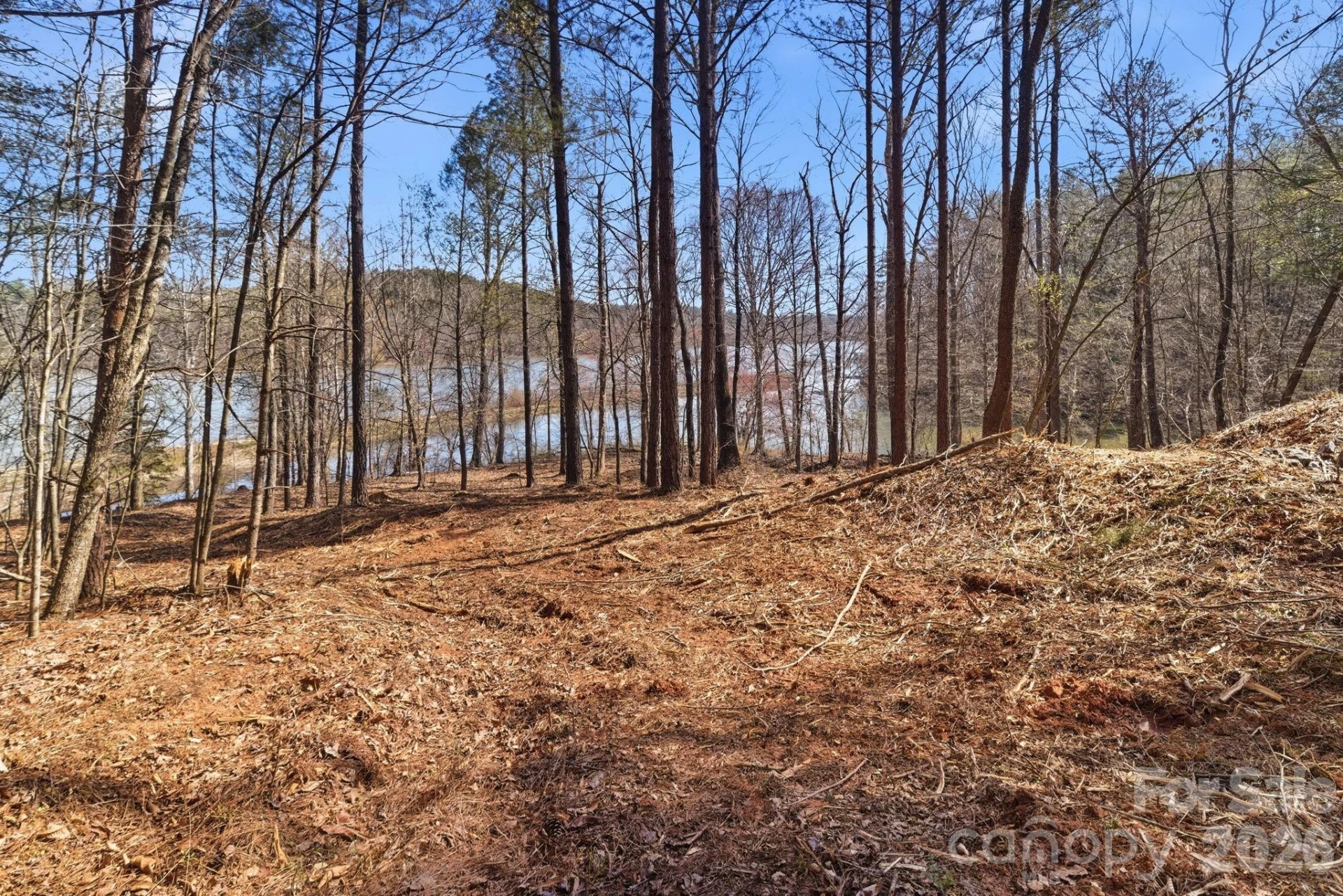 199 Table Rock Trace #130 - Photo 6