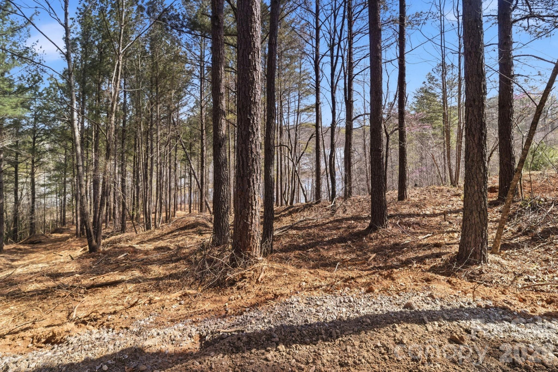 199 Table Rock Trace #130 - Photo 7