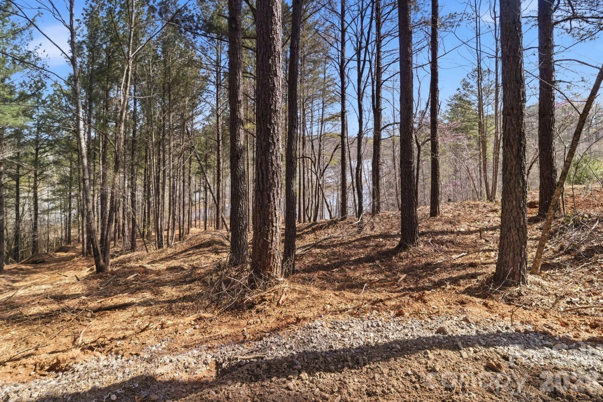 199 Table Rock Trace #130 - Photo 7