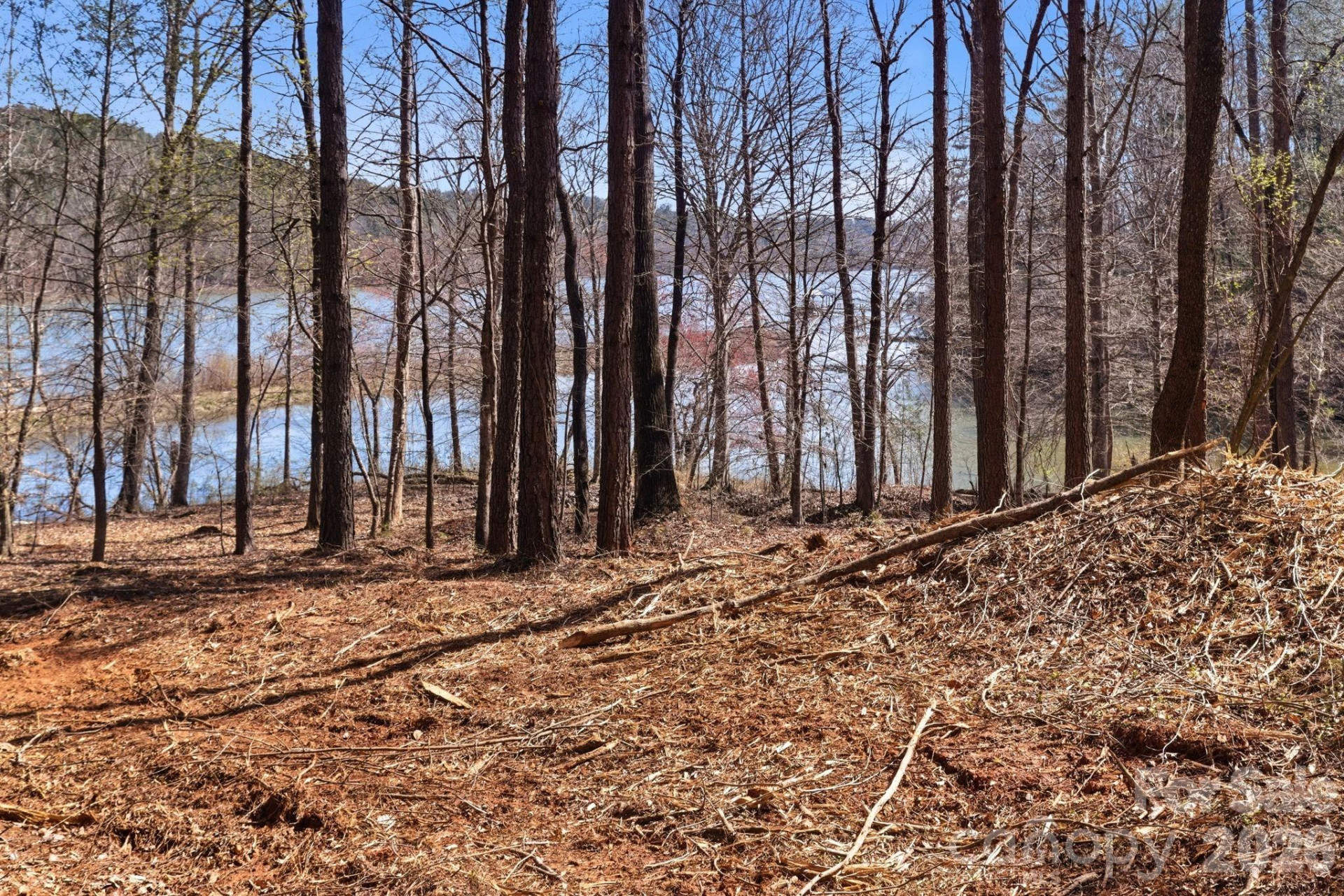 199 Table Rock Trace #130 - Photo 8