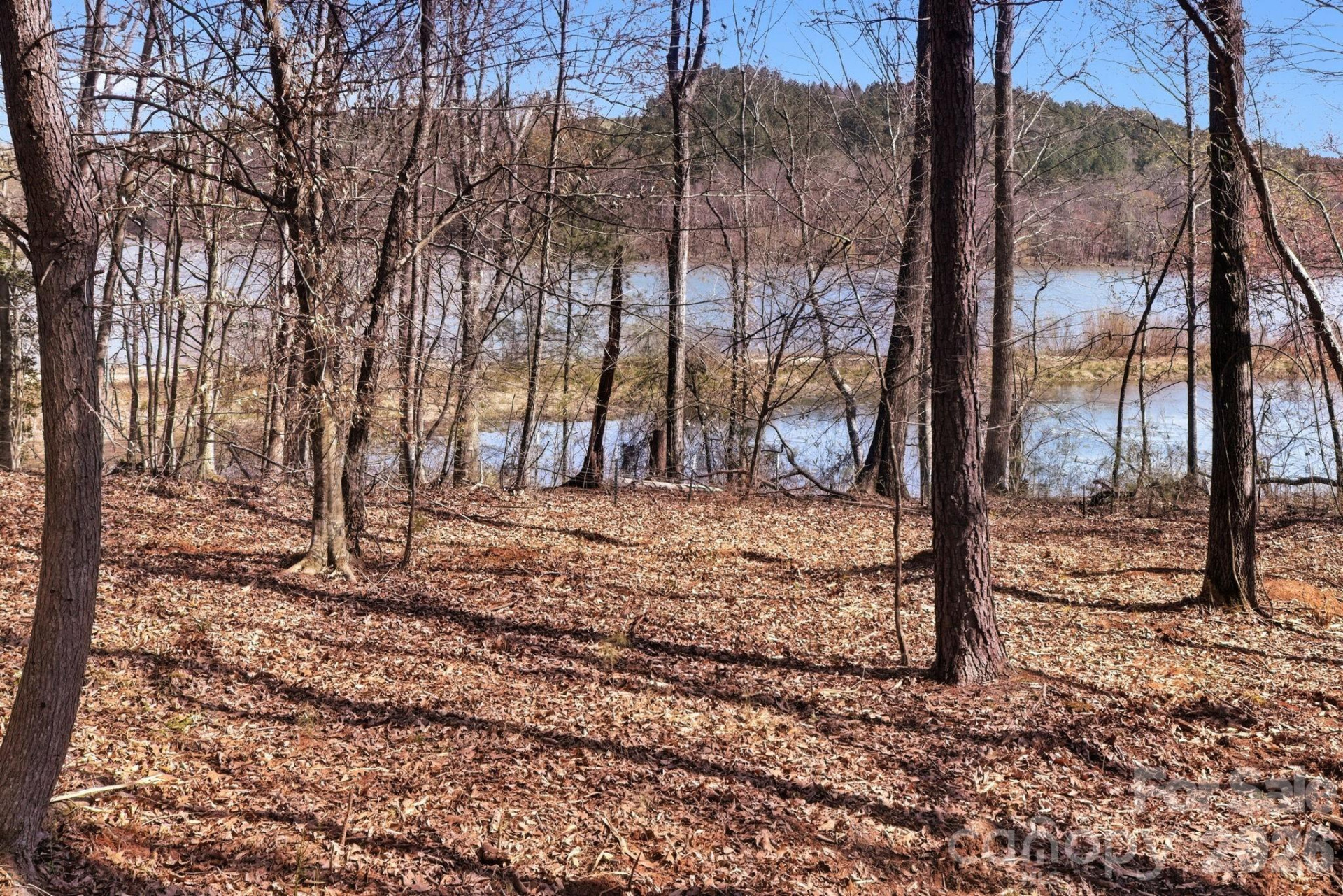 199 Table Rock Trace #130 - Photo 9