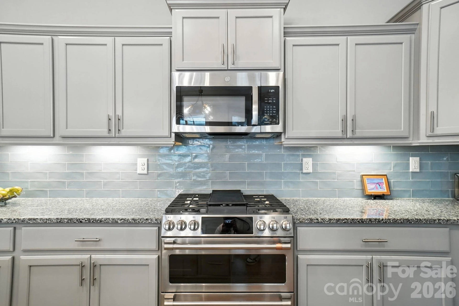 695 Poplar View Drive - Photo 11