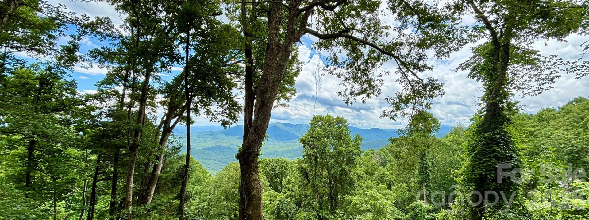 203 Laurel Lane - Photo 4