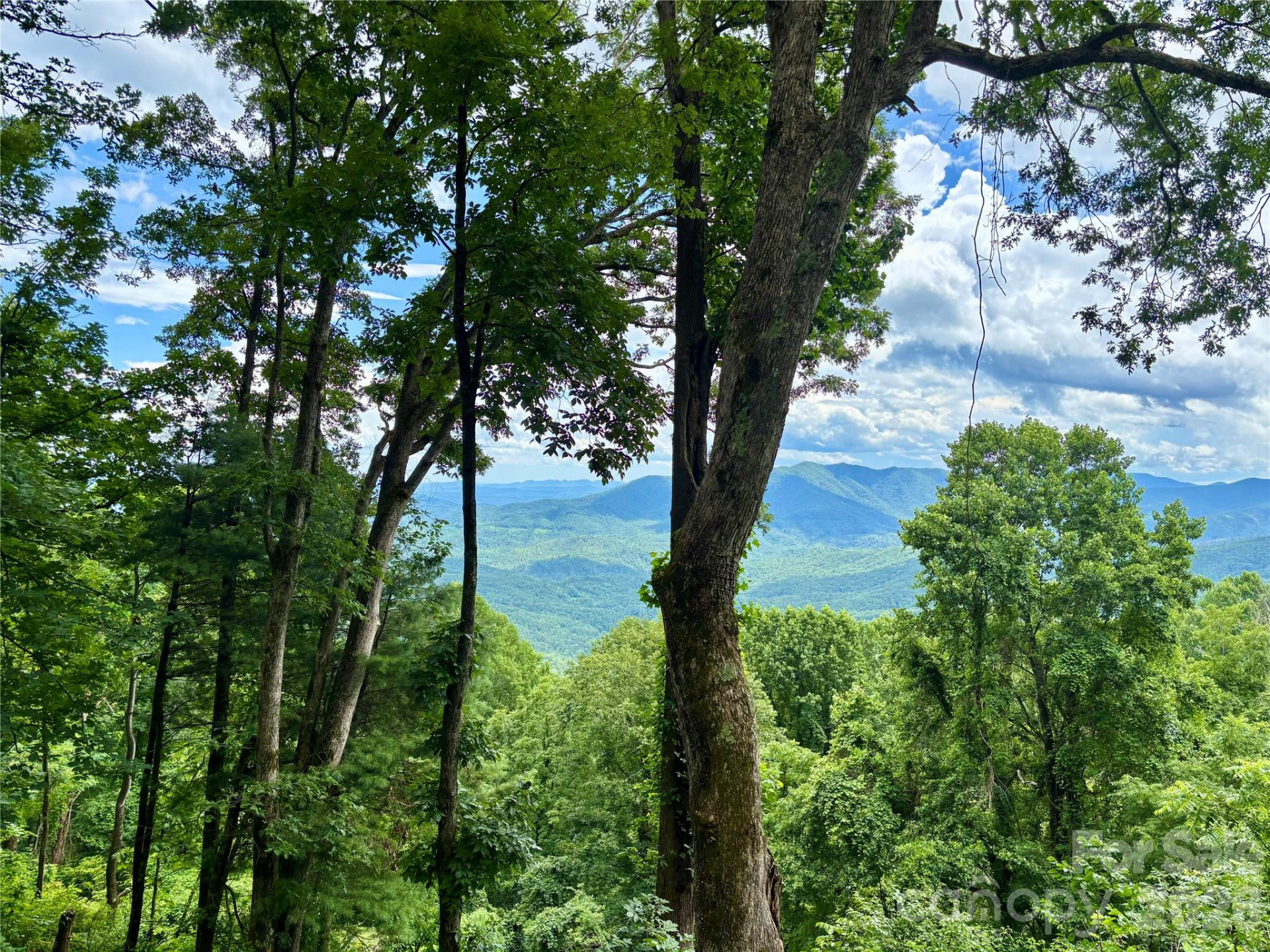 203 Laurel Lane - Photo 46