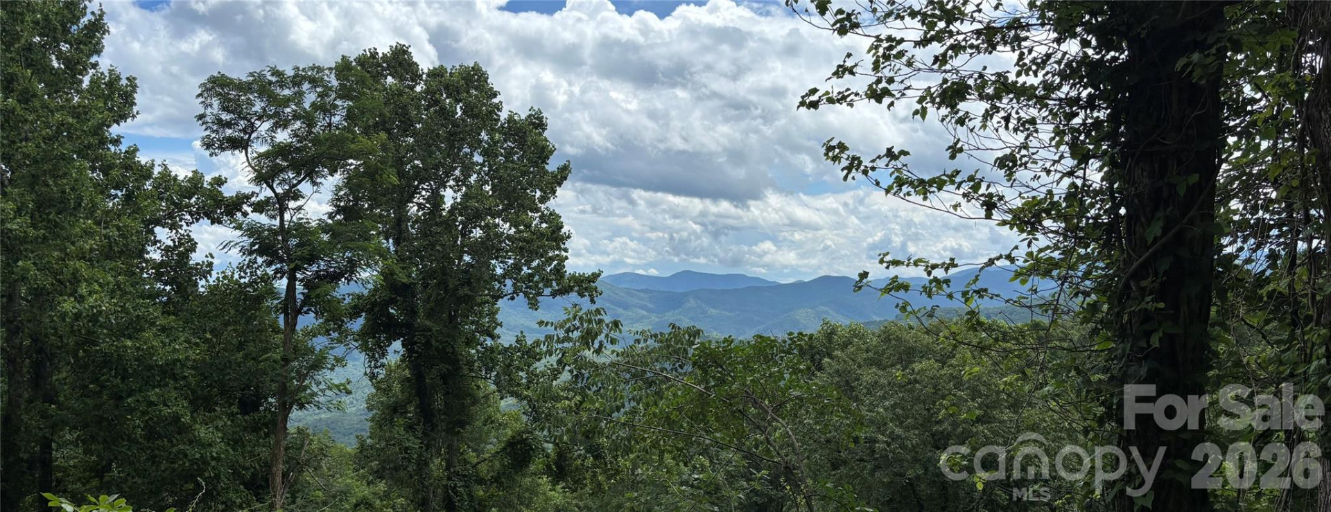 203 Laurel Lane - Photo 47