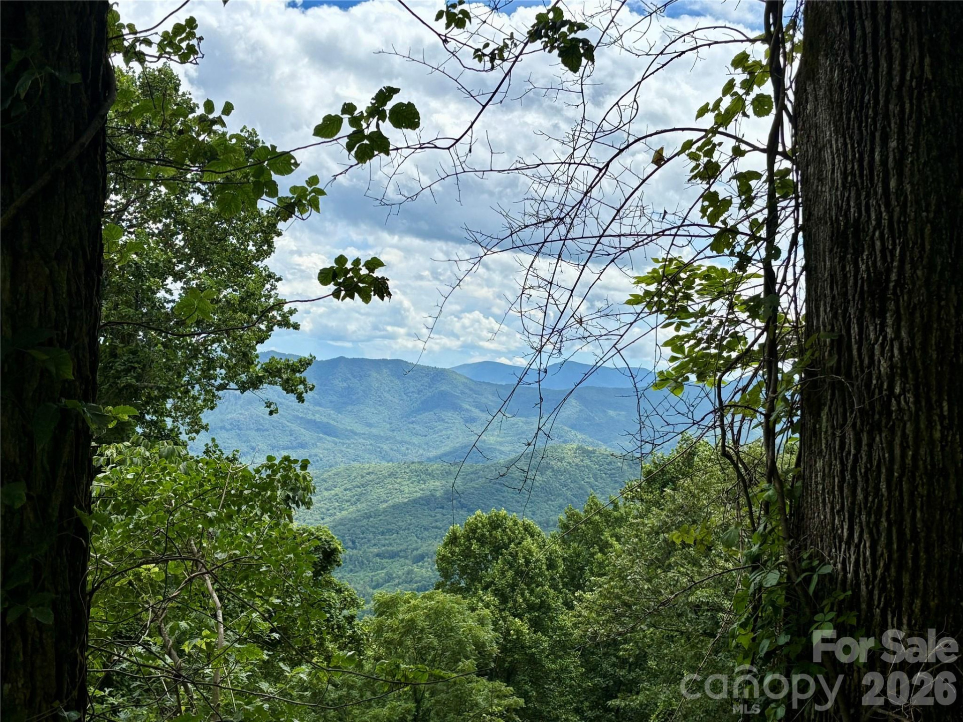 203 Laurel Lane - Photo 48