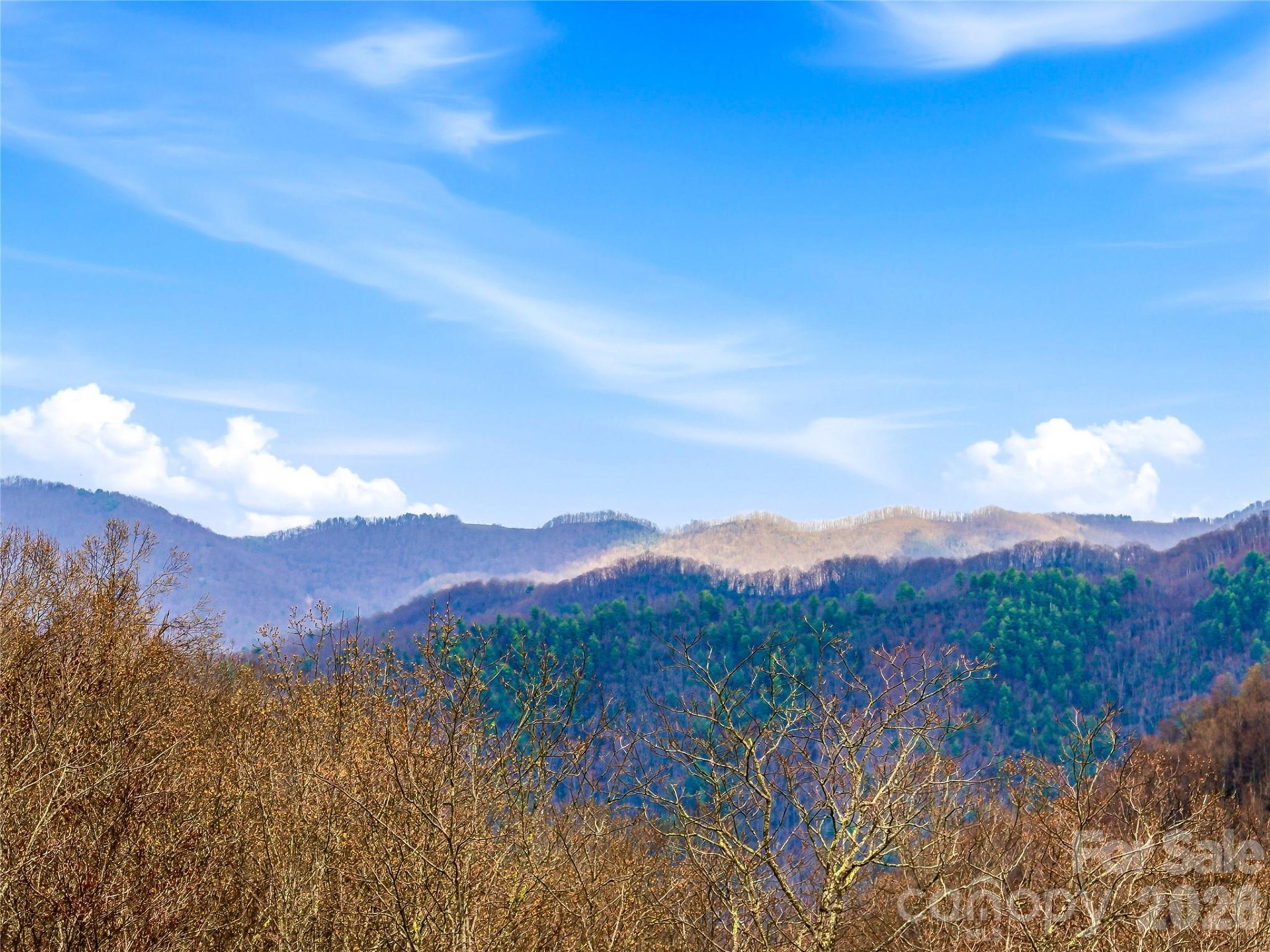 131 White Oak Way #34/35 - Photo 34