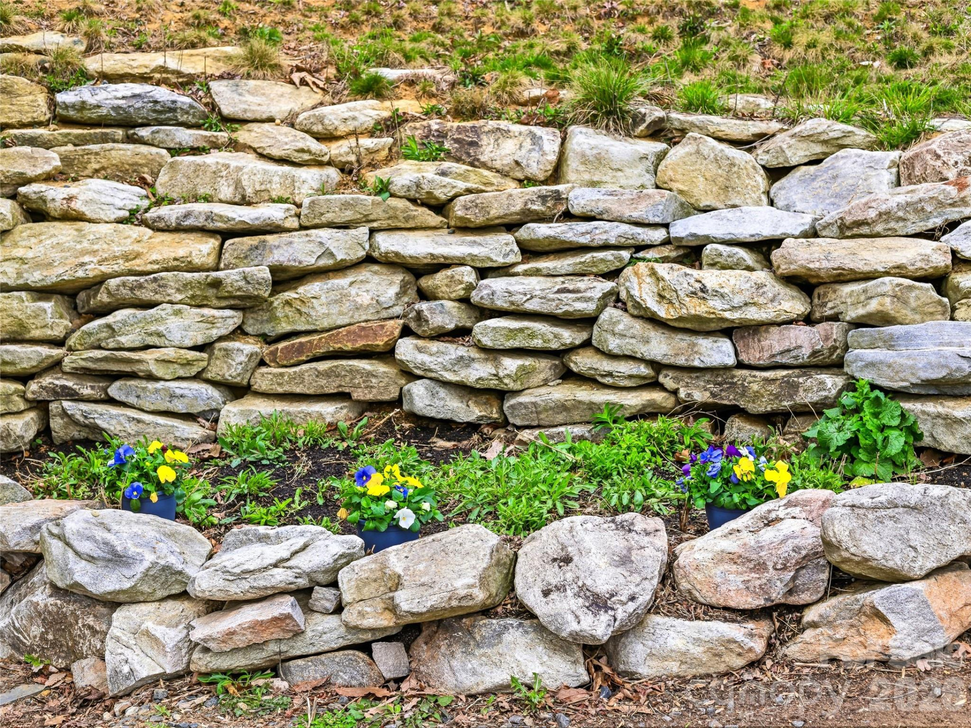 131 White Oak Way #34/35 - Photo 35