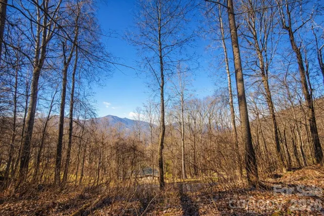 4 Buckeye Road