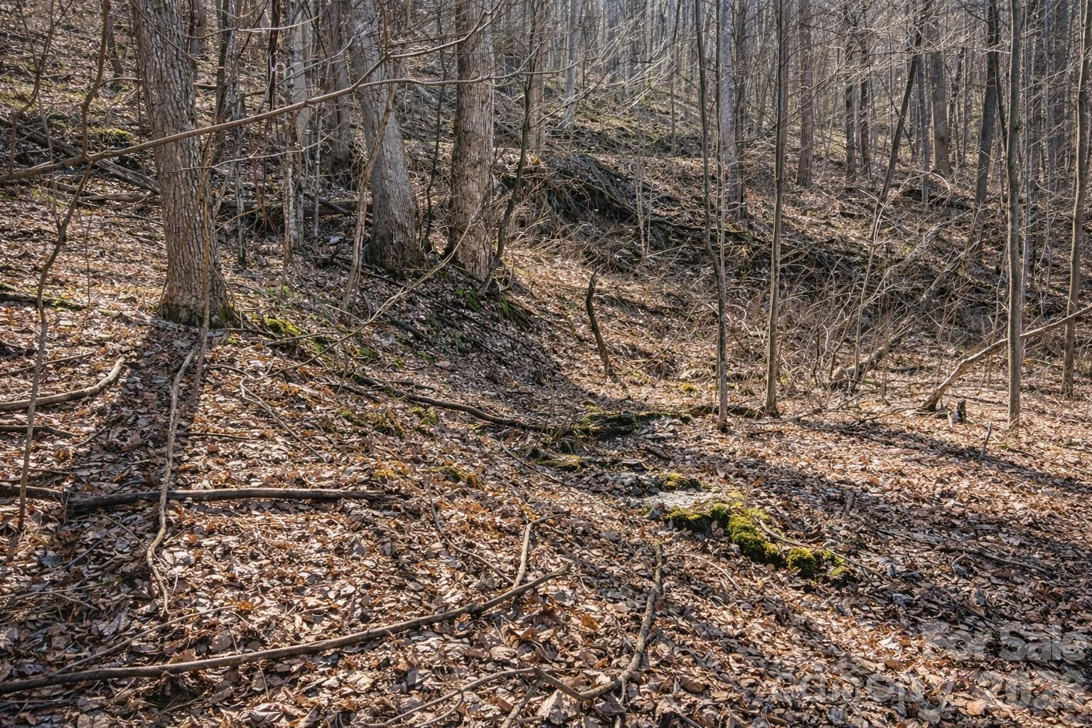 4 Buckeye Road #63 - Photo 3