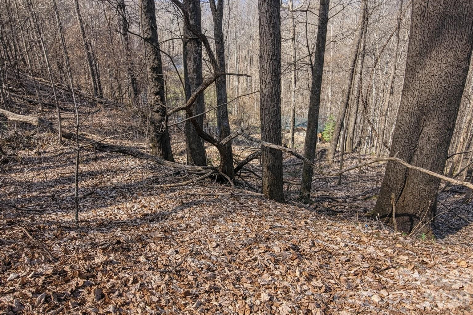 4 Buckeye Road #63 - Photo 4