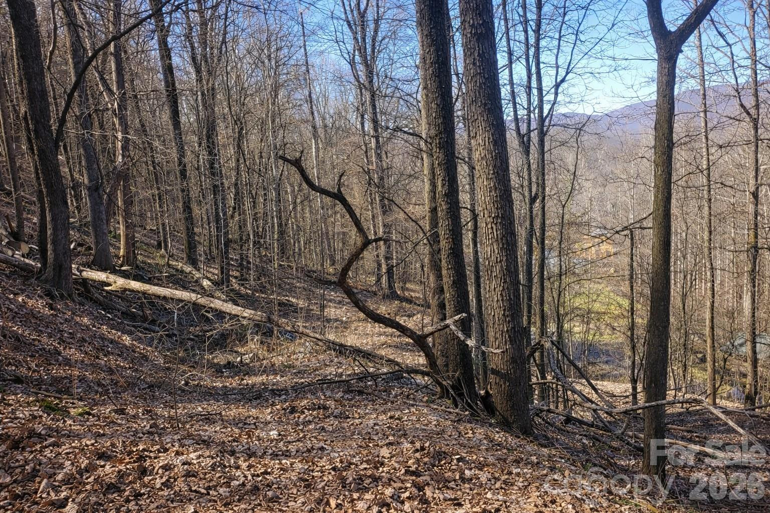 4 Buckeye Road #63 - Photo 5