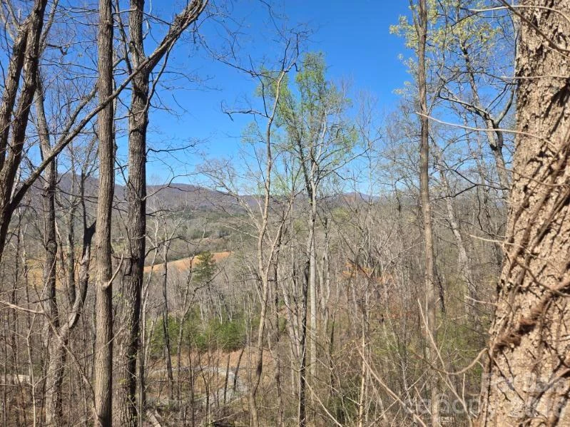 600 High Pines Loop - Photo 16