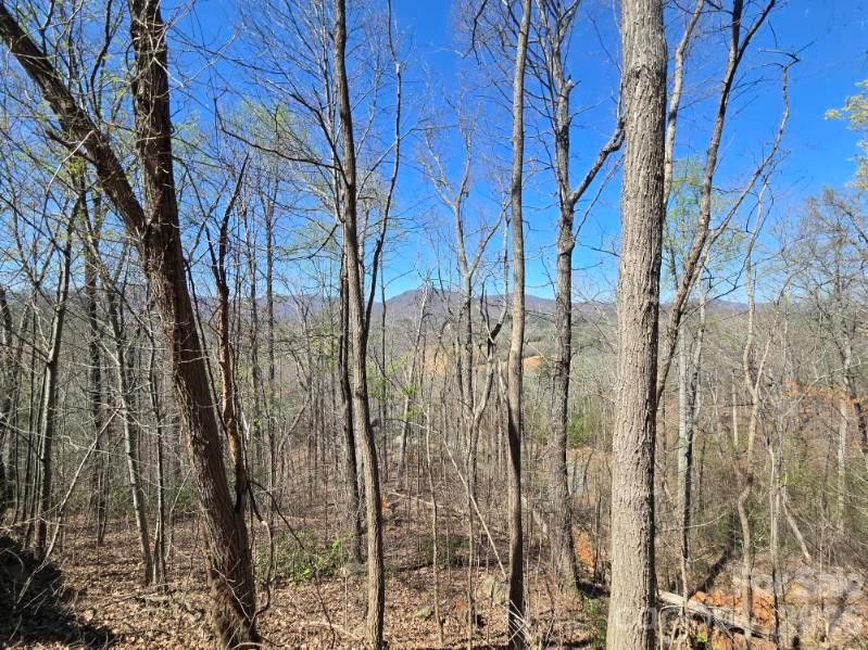 600 High Pines Loop - Photo 17