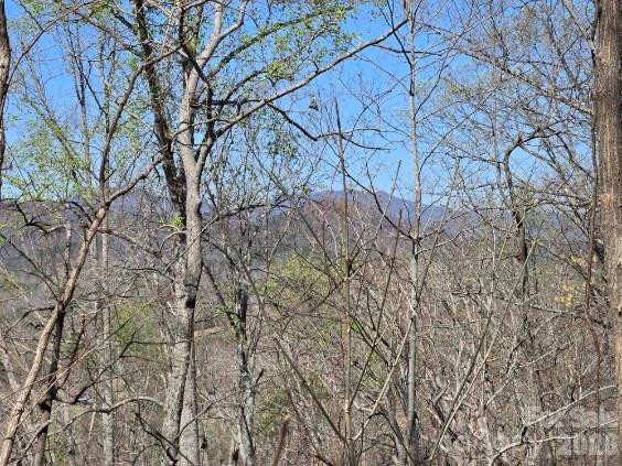 600 High Pines Loop - Photo 18