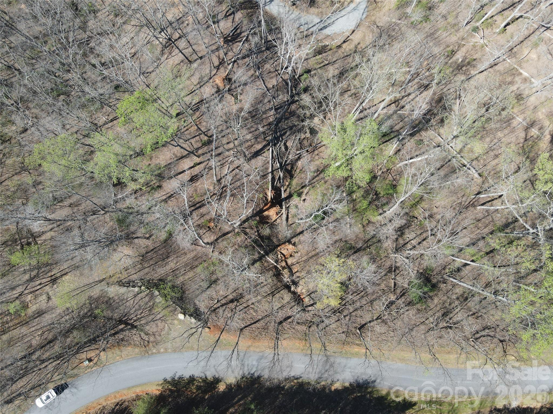 600 High Pines Loop - Photo 26