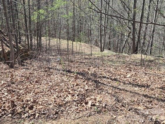 600 High Pines Loop - Photo 28