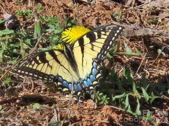 600 High Pines Loop - Photo 30