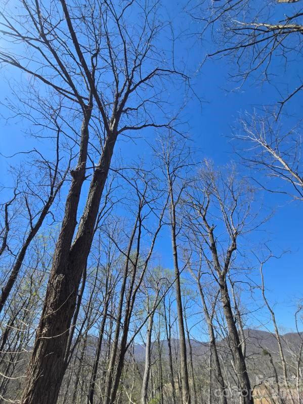 600 High Pines Loop - Photo 31