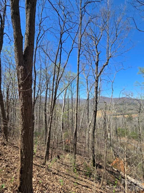 600 High Pines Loop - Photo 32