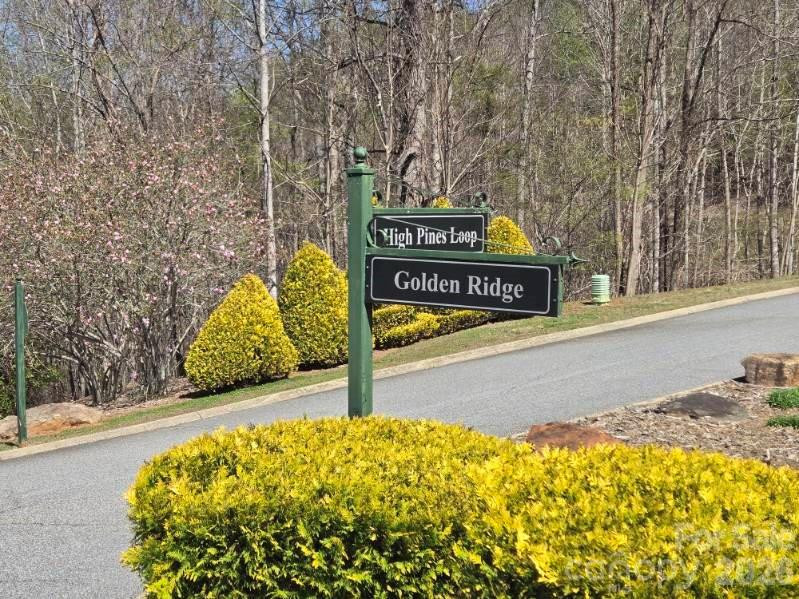 600 High Pines Loop - Photo 8