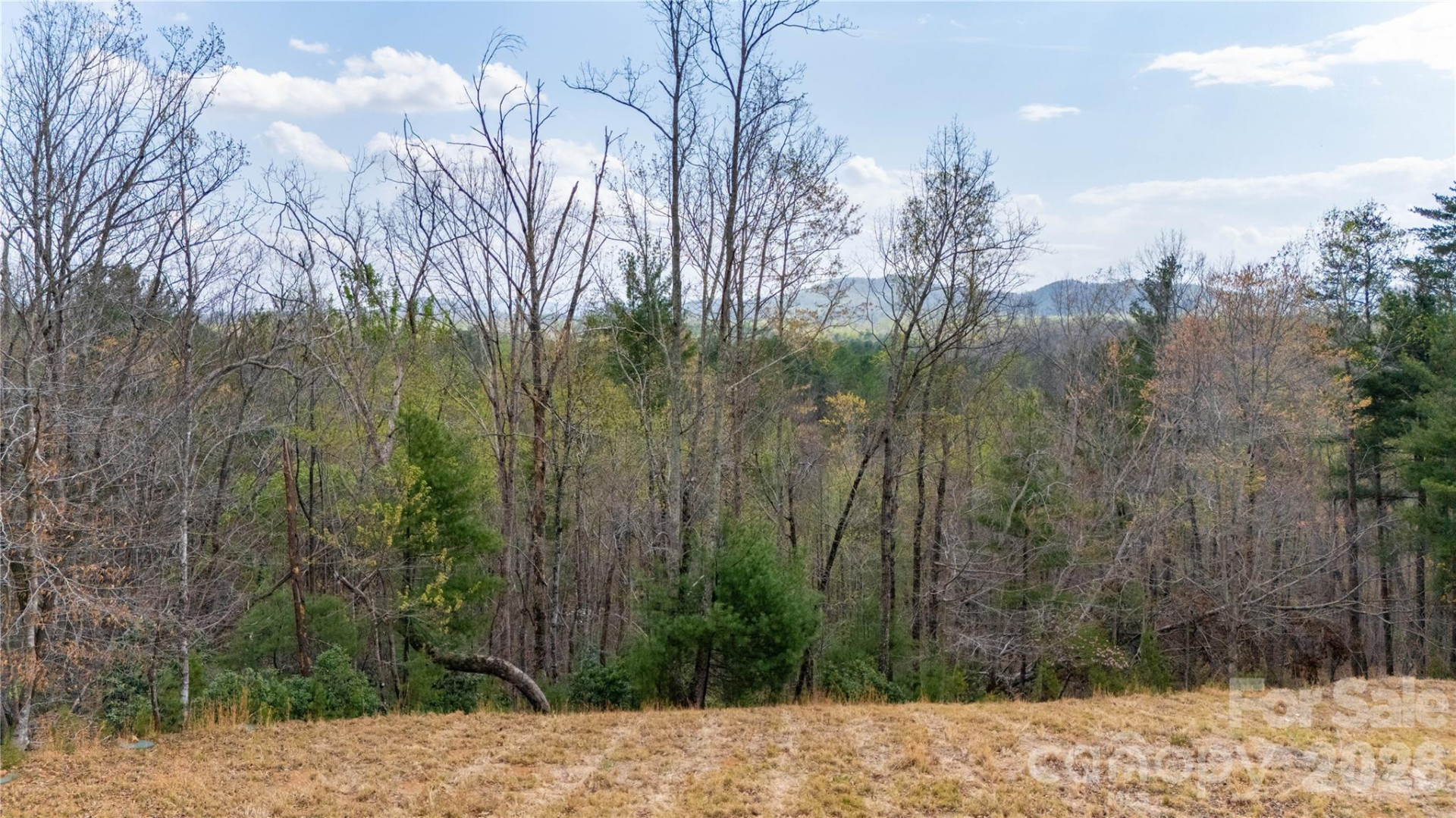 0000 High Trail Drive - Photo 11