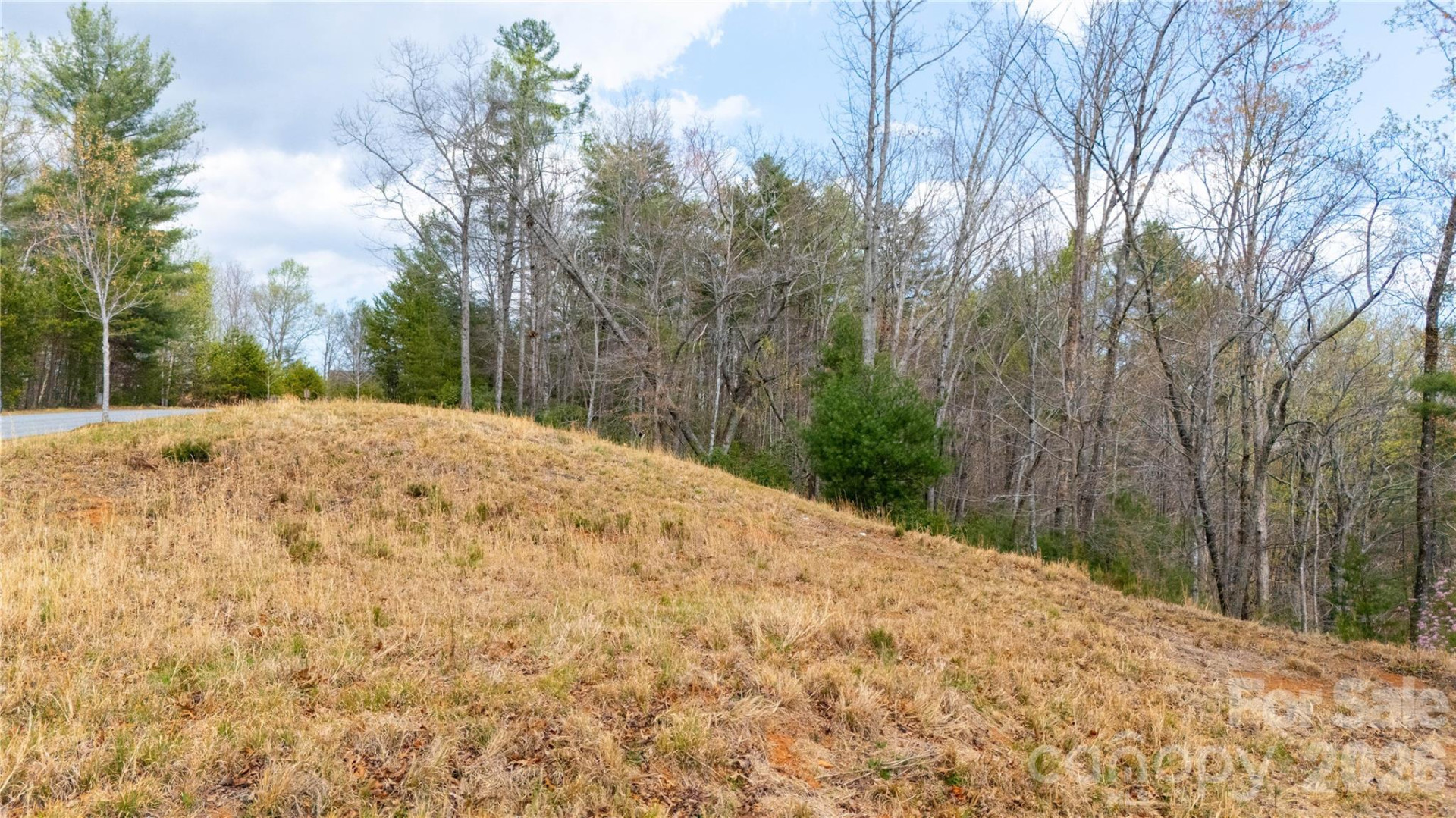 0000 High Trail Drive - Photo 13