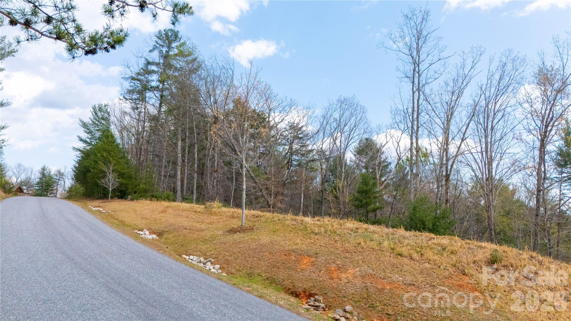 0000 High Trail Drive - Photo 14