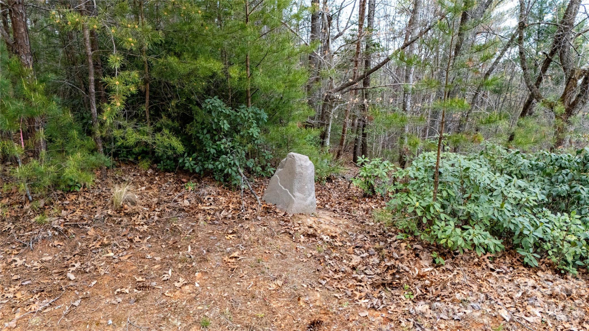 0000 High Trail Drive - Photo 3